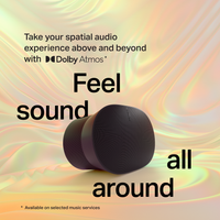 Sonos Era 300 (Member)