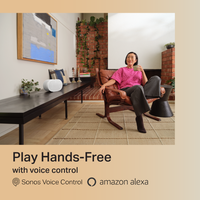 Sonos Era 300 (Member)