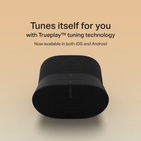 Sonos Era 300 (Member)