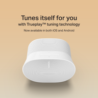 Sonos Era 300 (Member)