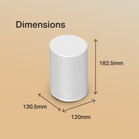 Sonos Era 100 (Member)