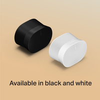 Sonos Era 300 (Member)