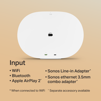 Sonos Era 300 (Member)