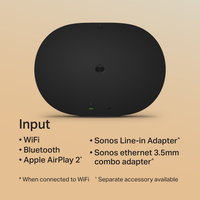 Sonos Era 300 (Member)