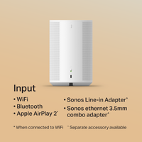 Sonos Era 100 (Member)