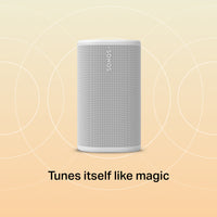 Sonos Sonos Play with Sonos Era 100
