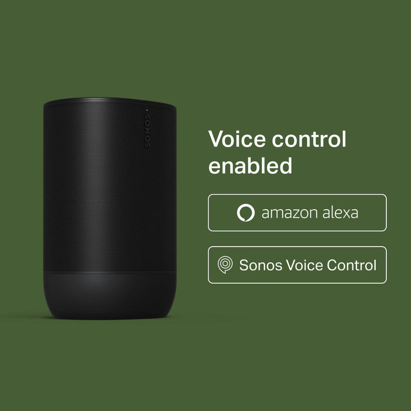 Voice best sale match sonos